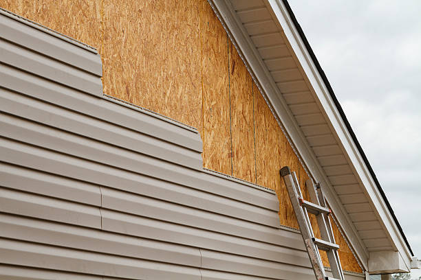 Professional Siding Inspection technician working in Purlear, NC